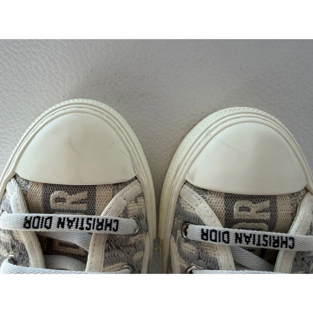 Dior authentic walk